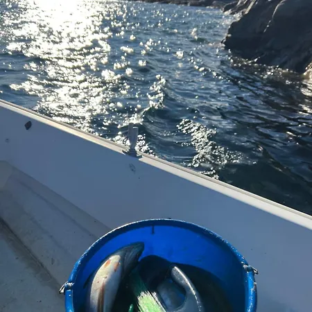 Moderne Og Flott Beliggende I Skjaergarden Med Mulighet For Bat! * Kristiansand
